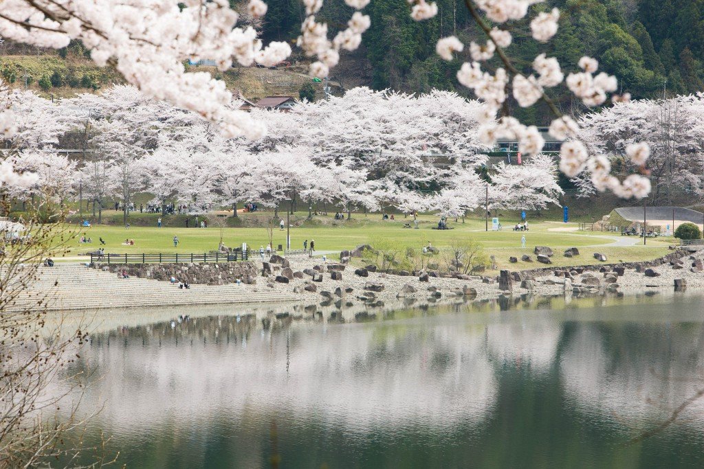 🏞️ 용왕산 공원(류오잔 코엔) 이미지 6